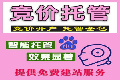 SEM外包服务应用案例分析
